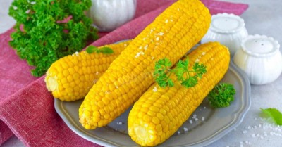 Как варить молодую кукурузу в початках