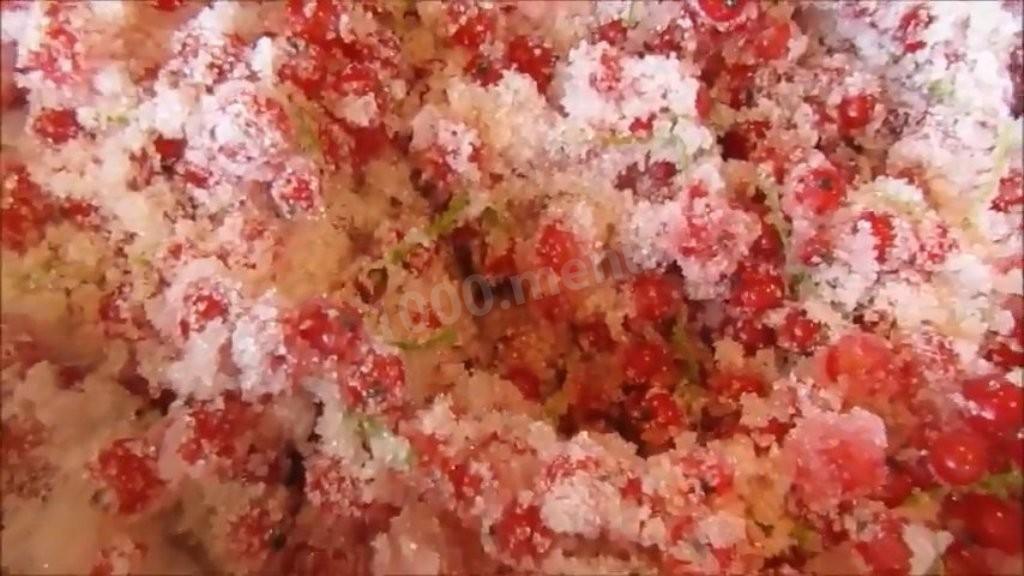 Рецепт приготовления безжелатинового желе из красной смородины на зиму в домашних условиях