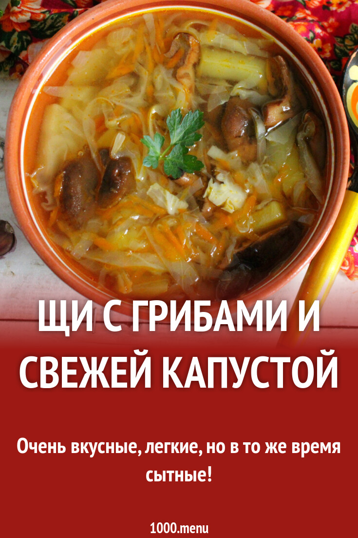 Щи с грибами и свежей капустой рецепт с фото пошагово - 1000.menu