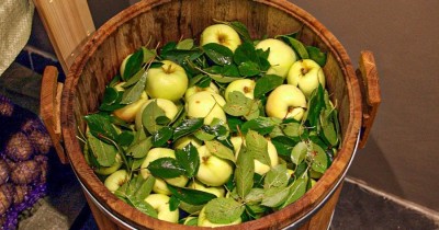 Моченые яблоки в бочке на зиму