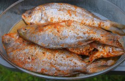 рыба на костре калорийность. Смотреть фото рыба на костре калорийность. Смотреть картинку рыба на костре калорийность. Картинка про рыба на костре калорийность. Фото рыба на костре калорийность рыба на костре калорийность. Смотреть фото рыба на костре калорийность. Смотреть картинку рыба на костре калорийность. Картинка про рыба на костре калорийность. Фото рыба на костре калорийность