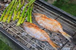 рыба на костре калорийность. Смотреть фото рыба на костре калорийность. Смотреть картинку рыба на костре калорийность. Картинка про рыба на костре калорийность. Фото рыба на костре калорийность рыба на костре калорийность. Смотреть фото рыба на костре калорийность. Смотреть картинку рыба на костре калорийность. Картинка про рыба на костре калорийность. Фото рыба на костре калорийность