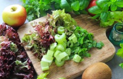 сельдерей с яблоком в блендере для похудения рецепты. Смотреть фото сельдерей с яблоком в блендере для похудения рецепты. Смотреть картинку сельдерей с яблоком в блендере для похудения рецепты. Картинка про сельдерей с яблоком в блендере для похудения рецепты. Фото сельдерей с яблоком в блендере для похудения рецепты сельдерей с яблоком в блендере для похудения рецепты. Смотреть фото сельдерей с яблоком в блендере для похудения рецепты. Смотреть картинку сельдерей с яблоком в блендере для похудения рецепты. Картинка про сельдерей с яблоком в блендере для похудения рецепты. Фото сельдерей с яблоком в блендере для похудения рецепты