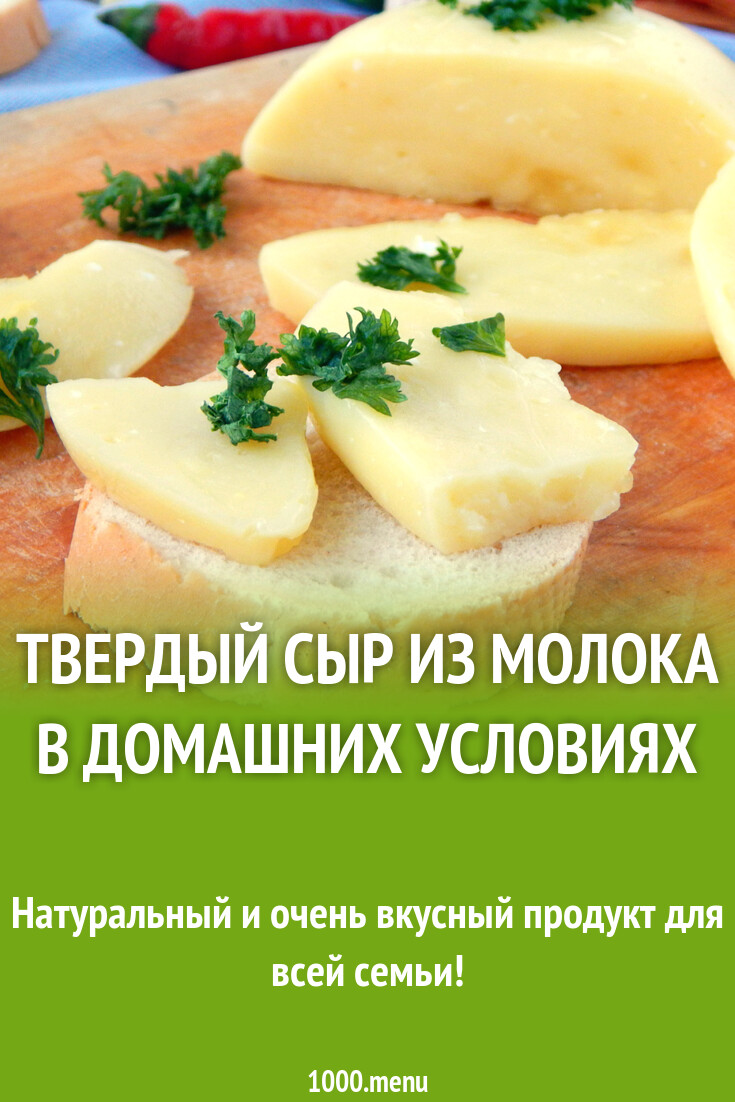 Твердый сыр из молока в домашних условиях рецепт с фото пошагово - 1000.menu