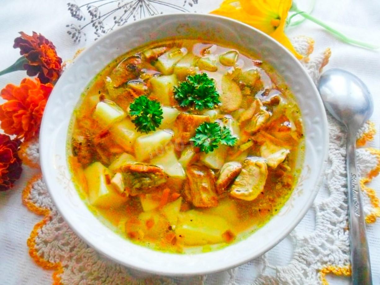 Грибной суп с овощами: рецепты приготовления и полезные свойства