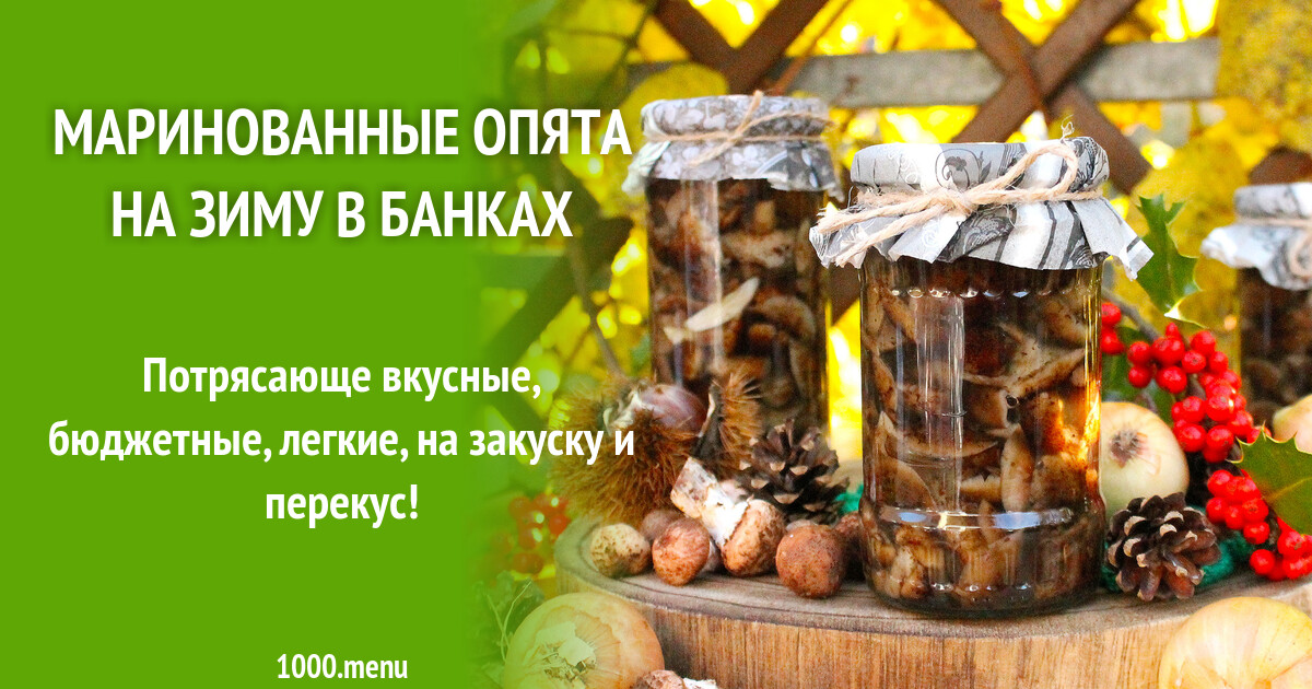 Как замариновать опята на зиму в банки. Как замариновать опята на зиму в банки