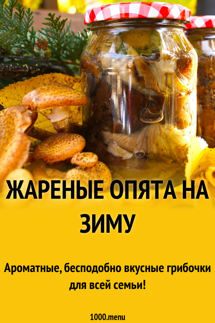 Рецепт соления опят на зиму. Рецепт соления опят на зиму