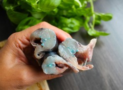 сарган рыба рецепт приготовления. Смотреть фото сарган рыба рецепт приготовления. Смотреть картинку сарган рыба рецепт приготовления. Картинка про сарган рыба рецепт приготовления. Фото сарган рыба рецепт приготовления сарган рыба рецепт приготовления. Смотреть фото сарган рыба рецепт приготовления. Смотреть картинку сарган рыба рецепт приготовления. Картинка про сарган рыба рецепт приготовления. Фото сарган рыба рецепт приготовления