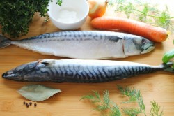 рыба в духовке в банке с овощами в духовке рецепт. Смотреть фото рыба в духовке в банке с овощами в духовке рецепт. Смотреть картинку рыба в духовке в банке с овощами в духовке рецепт. Картинка про рыба в духовке в банке с овощами в духовке рецепт. Фото рыба в духовке в банке с овощами в духовке рецепт рыба в духовке в банке с овощами в духовке рецепт. Смотреть фото рыба в духовке в банке с овощами в духовке рецепт. Смотреть картинку рыба в духовке в банке с овощами в духовке рецепт. Картинка про рыба в духовке в банке с овощами в духовке рецепт. Фото рыба в духовке в банке с овощами в духовке рецепт