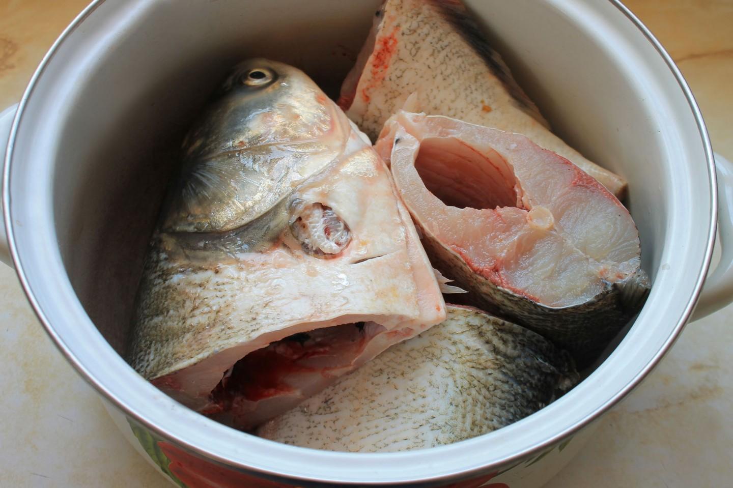 Толстолобик на мангале. Толстолобик рыба отварная. Толстолобик вкусная рыба или нет. Толстолобик в сметане. Что приготовить из толстолобика