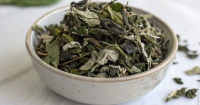 Листья малины для сушки на зиму