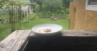 Леденец  из сахара от кашля