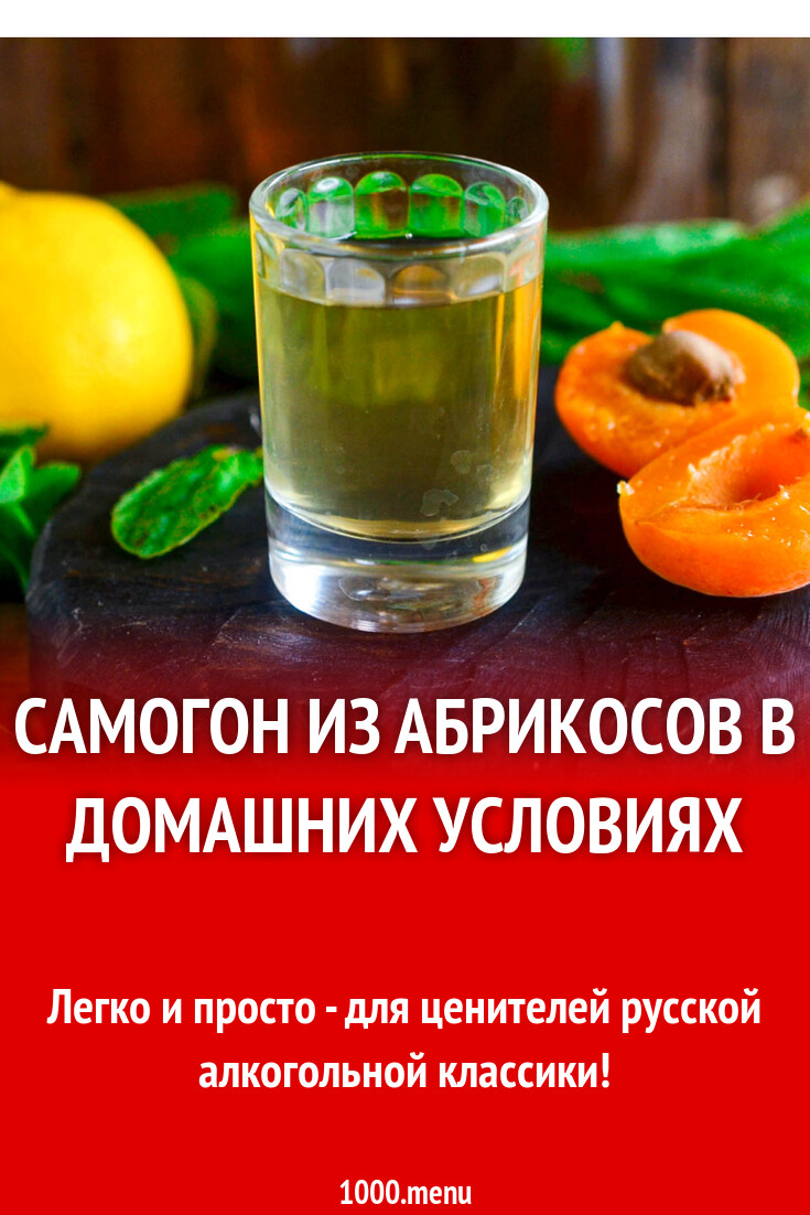 Самогон из абрикосов в домашних условиях рецепт с фото пошагово - 1000.menu