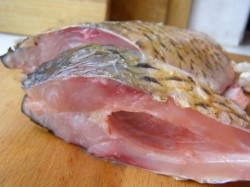 сазан под маринадом рецепт с фото пошагово. Смотреть фото сазан под маринадом рецепт с фото пошагово. Смотреть картинку сазан под маринадом рецепт с фото пошагово. Картинка про сазан под маринадом рецепт с фото пошагово. Фото сазан под маринадом рецепт с фото пошагово сазан под маринадом рецепт с фото пошагово. Смотреть фото сазан под маринадом рецепт с фото пошагово. Смотреть картинку сазан под маринадом рецепт с фото пошагово. Картинка про сазан под маринадом рецепт с фото пошагово. Фото сазан под маринадом рецепт с фото пошагово