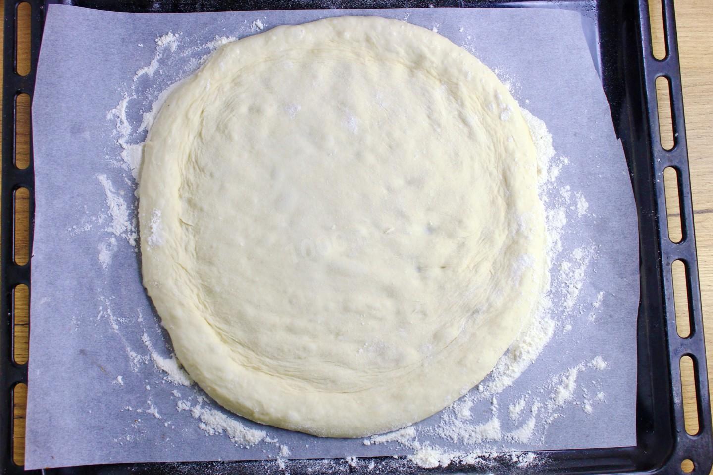 жидкое тесто для пиццы в духовке без дрожжей на молоке быстрого приготовления фото 119
