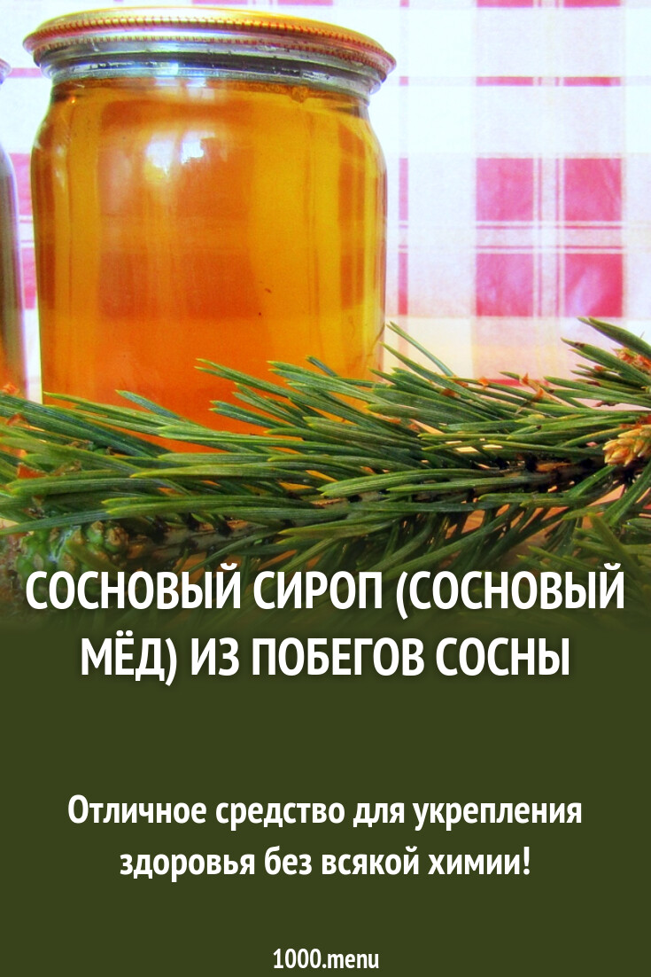 Сосновый сироп (сосновый мёд) из побегов сосны рецепт фото пошагово и ...
