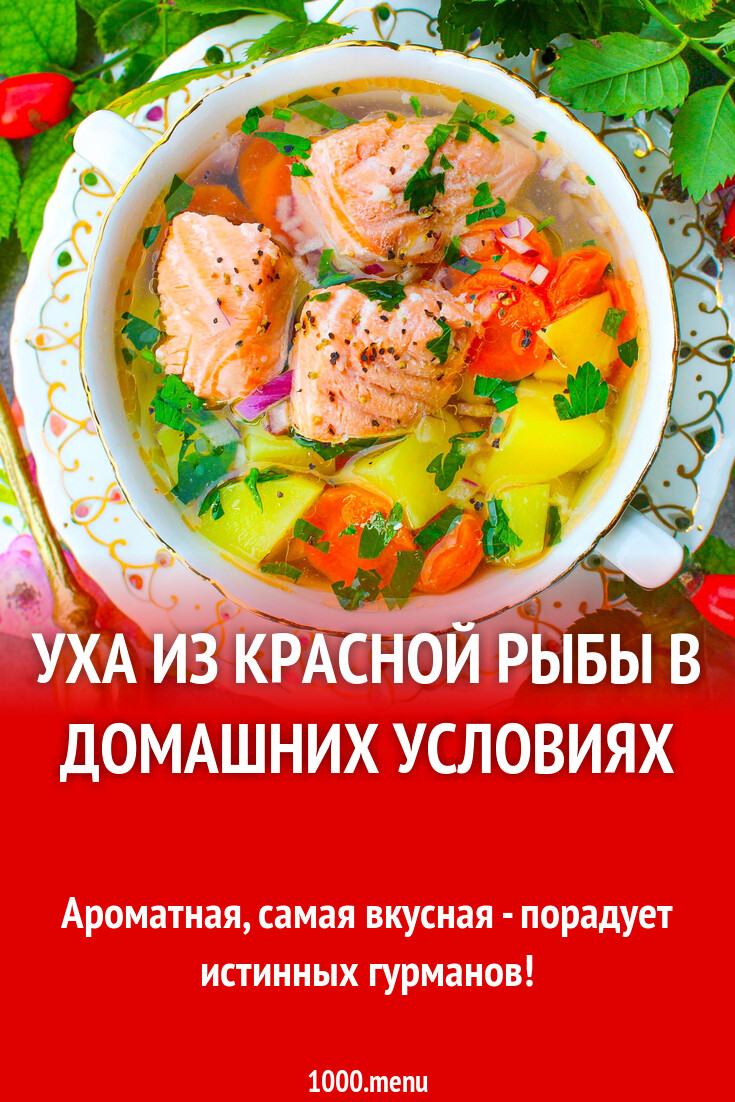 Уха из красной рыбы в домашних условиях рецепт с фото пошагово - 1000.menu