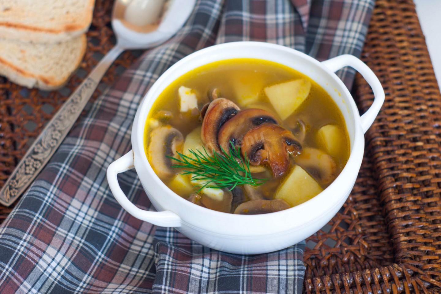 Суп с сыром и грибами и курицей рецепт с фото пошагово