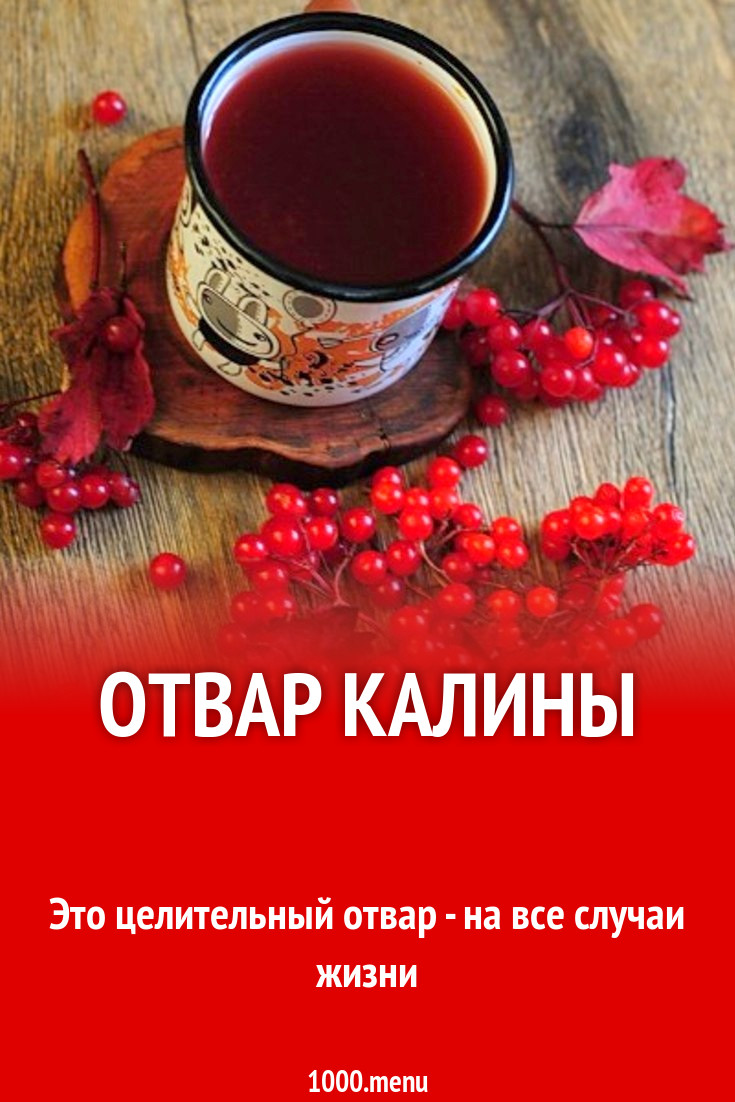 Отвар калины рецепт с фото пошагово - 1000.menu