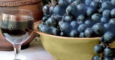 Домашнее вино из синего винограда