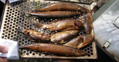 Рыба горячего копчения дома в духовке и как вкусно закоптить курицу в коптильне горячего копчения