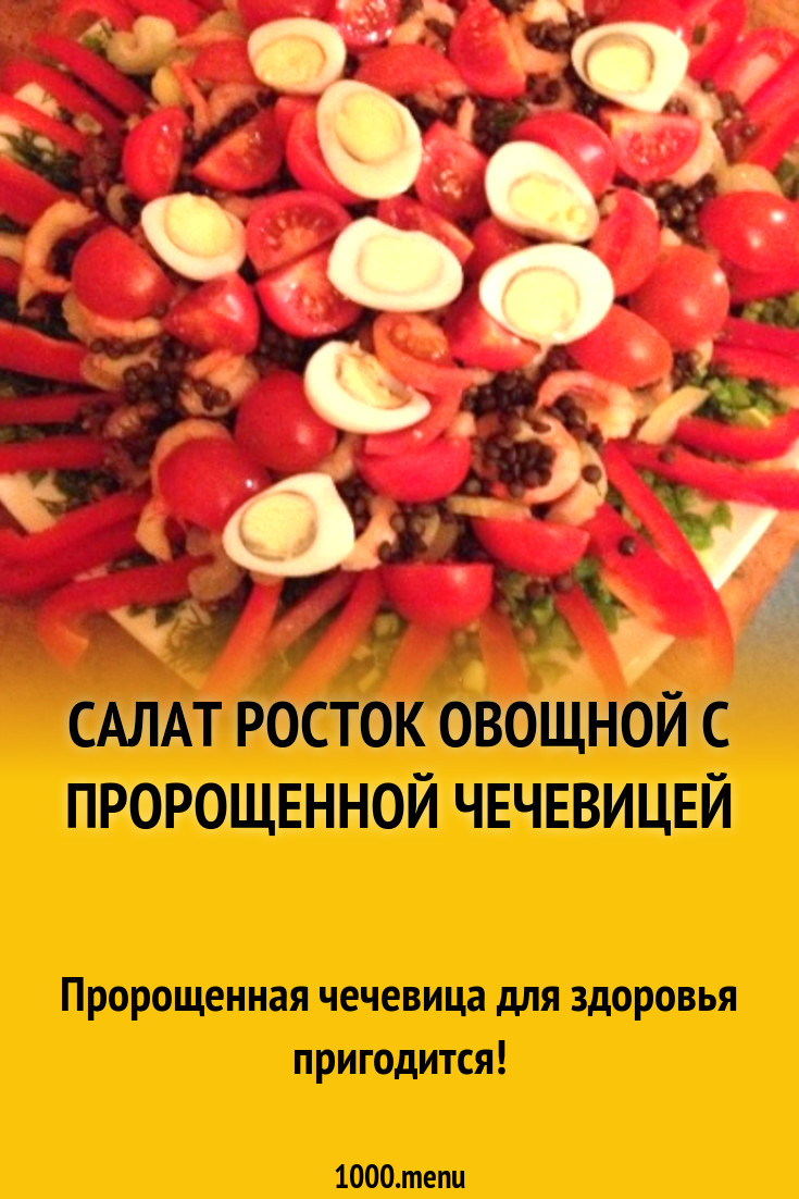 Салат Росток овощной с пророщенной чечевицей рецепт с фото пошагово -  1000.menu