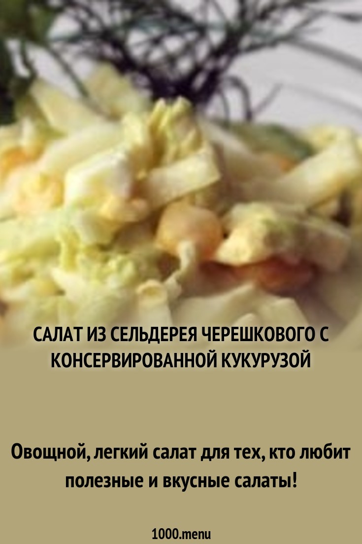 Смотреть - Заявление командования Армии Сирии в связи с новой агрессией США видео Смотреть - Заявление командования Армии Сирии в связи с новой агрессией США видео