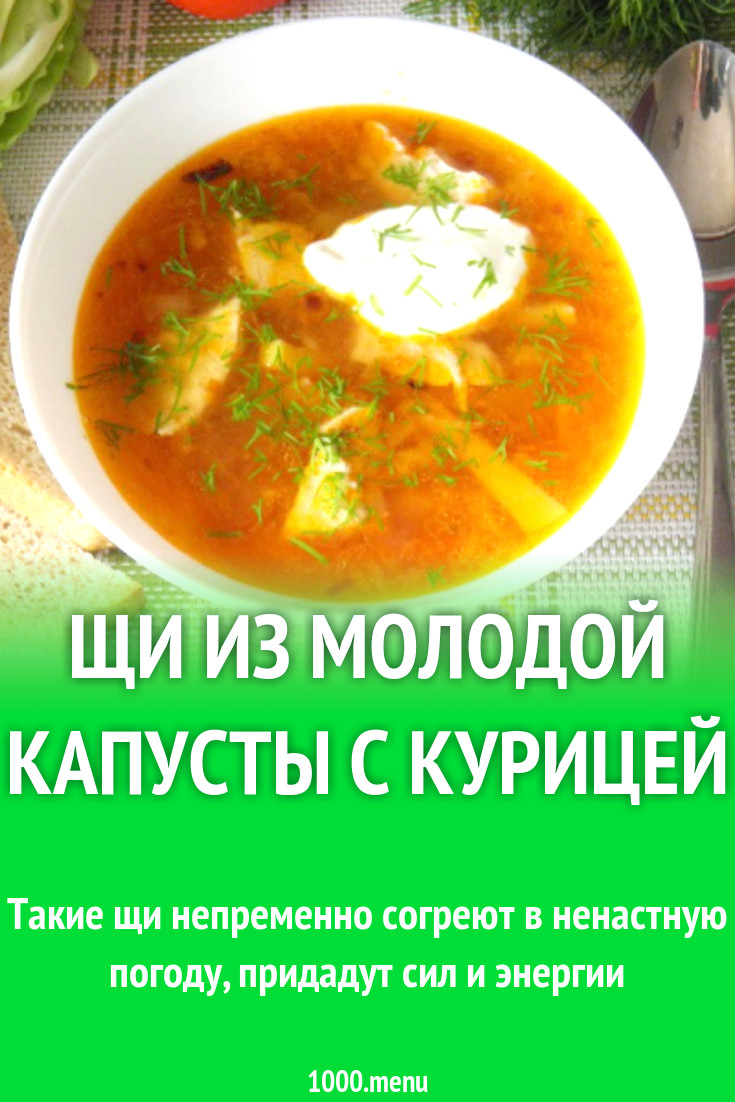 Щи из молодой капусты с курицей рецепт с фото пошагово - 1000.menu