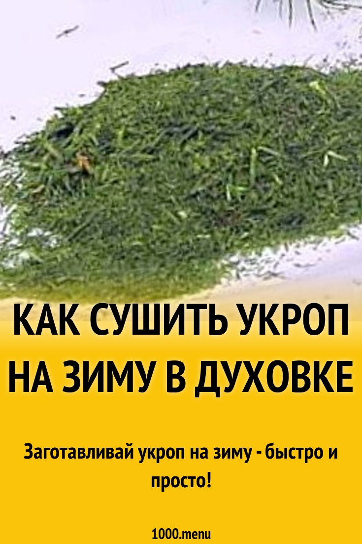 Как сушить укроп на зиму в домашних условиях: советы и методы