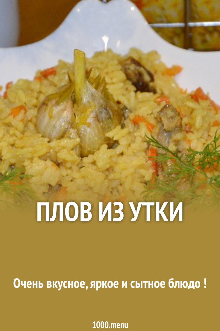 Поздравления по цветочному гороскопу Шиповник Поздравления по цветочному гороскопу Шиповник