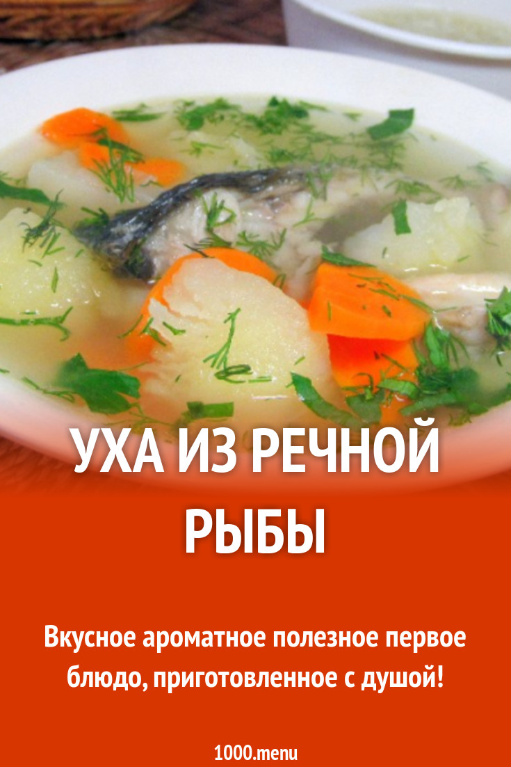 Рецепт вкусной ухи из речной рыбы