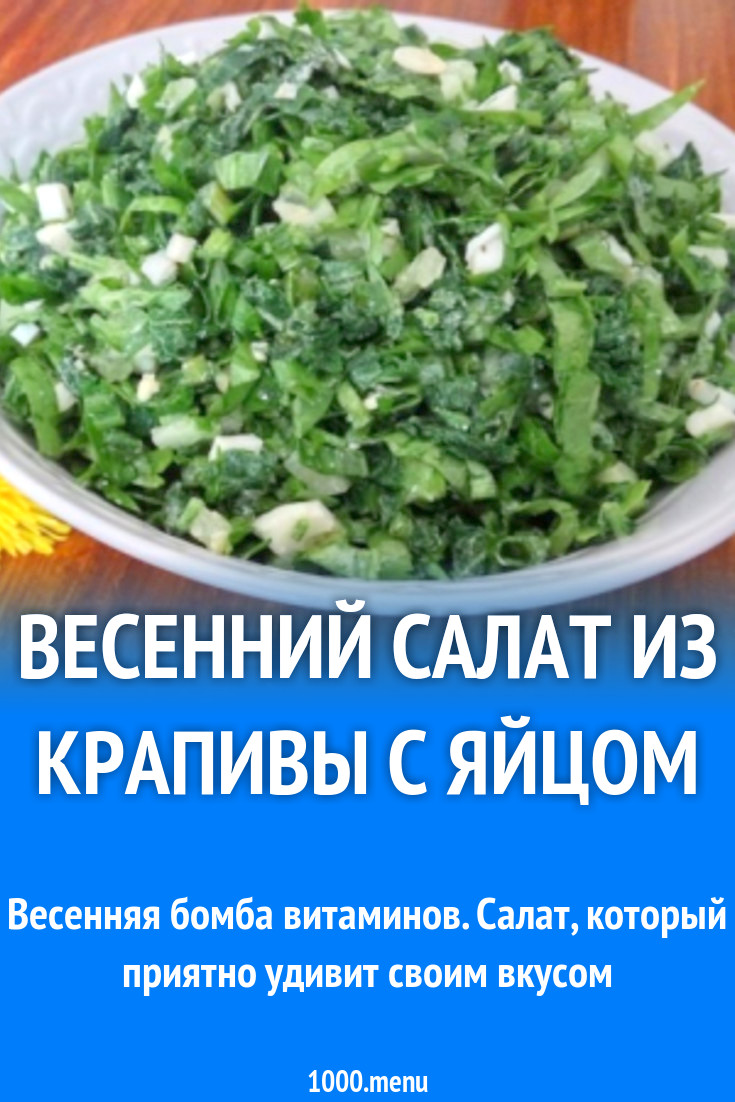 Весенний салат из крапивы с яйцом рецепт с фото пошагово - 1000.menu