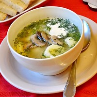 грибной суп на мясном бульоне рецепт с фото онлайн грибной суп на мясном бульоне рецепт с фото