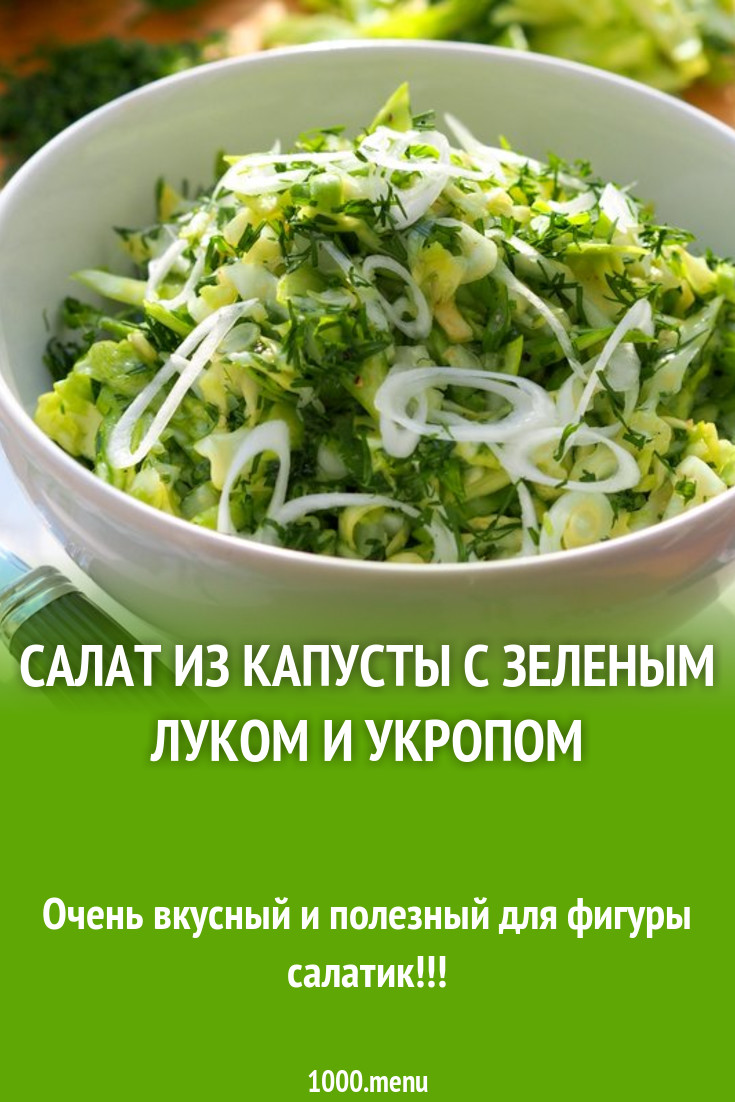 Салат из капусты с зеленым луком и укропом рецепт с фото - 1000.menu