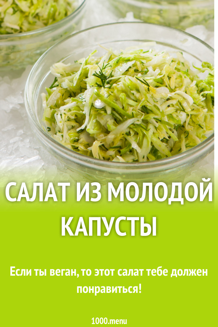 Салат из капусты с яблочным уксусом рецепт с фото - 1000.menu