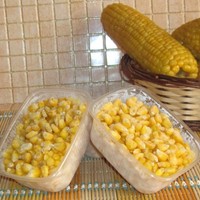 что можно приготовить с кукурузой свежей