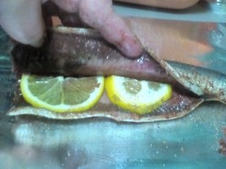 ΡΠ΅Π»Π΅Π΄ΠΊΠ° Ρ ΡΠΈΡΠΎΠΌ Π² Π΄ΡΡ
ΠΎΠ²ΠΊΠ΅. Π‘ΠΌΠΎΡΡΠ΅ΡΡ ΡΠΎΡΠΎ ΡΠ΅Π»Π΅Π΄ΠΊΠ° Ρ ΡΠΈΡΠΎΠΌ Π² Π΄ΡΡ
ΠΎΠ²ΠΊΠ΅. Π‘ΠΌΠΎΡΡΠ΅ΡΡ ΠΊΠ°ΡΡΠΈΠ½ΠΊΡ ΡΠ΅Π»Π΅Π΄ΠΊΠ° Ρ ΡΠΈΡΠΎΠΌ Π² Π΄ΡΡ
ΠΎΠ²ΠΊΠ΅. ΠΠ°ΡΡΠΈΠ½ΠΊΠ° ΠΏΡΠΎ ΡΠ΅Π»Π΅Π΄ΠΊΠ° Ρ ΡΠΈΡΠΎΠΌ Π² Π΄ΡΡ
ΠΎΠ²ΠΊΠ΅. Π€ΠΎΡΠΎ ΡΠ΅Π»Π΅Π΄ΠΊΠ° Ρ ΡΠΈΡΠΎΠΌ Π² Π΄ΡΡ
ΠΎΠ²ΠΊΠ΅ ΡΠ΅Π»Π΅Π΄ΠΊΠ° Ρ ΡΠΈΡΠΎΠΌ Π² Π΄ΡΡ
ΠΎΠ²ΠΊΠ΅. Π‘ΠΌΠΎΡΡΠ΅ΡΡ ΡΠΎΡΠΎ ΡΠ΅Π»Π΅Π΄ΠΊΠ° Ρ ΡΠΈΡΠΎΠΌ Π² Π΄ΡΡ
ΠΎΠ²ΠΊΠ΅. Π‘ΠΌΠΎΡΡΠ΅ΡΡ ΠΊΠ°ΡΡΠΈΠ½ΠΊΡ ΡΠ΅Π»Π΅Π΄ΠΊΠ° Ρ ΡΠΈΡΠΎΠΌ Π² Π΄ΡΡ
ΠΎΠ²ΠΊΠ΅. ΠΠ°ΡΡΠΈΠ½ΠΊΠ° ΠΏΡΠΎ ΡΠ΅Π»Π΅Π΄ΠΊΠ° Ρ ΡΠΈΡΠΎΠΌ Π² Π΄ΡΡ
ΠΎΠ²ΠΊΠ΅. Π€ΠΎΡΠΎ ΡΠ΅Π»Π΅Π΄ΠΊΠ° Ρ ΡΠΈΡΠΎΠΌ Π² Π΄ΡΡ
ΠΎΠ²ΠΊΠ΅