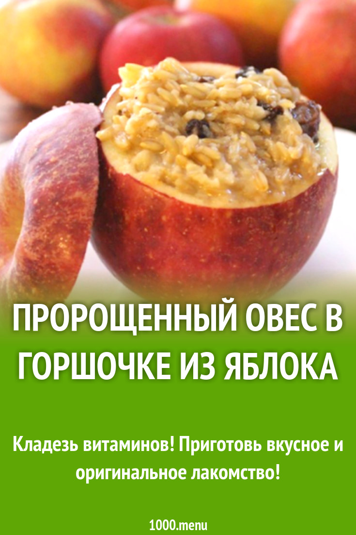 Пророщенный овес в горшочке из яблока рецепт с фото - 1000.menu