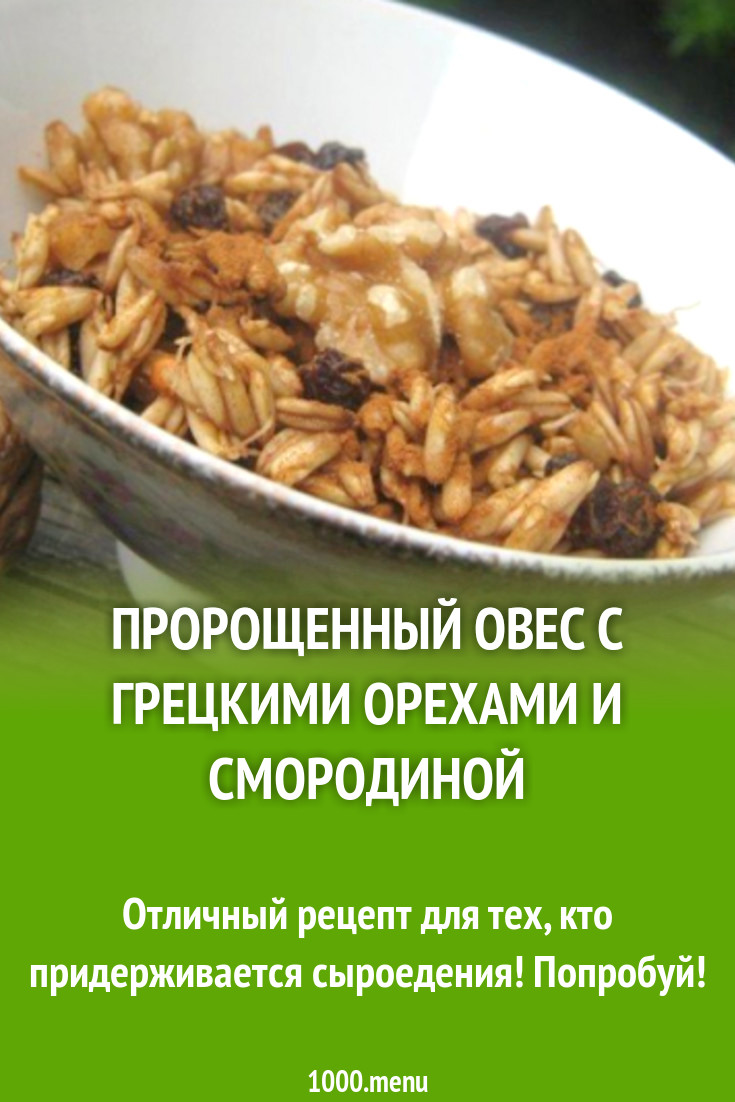 Пророщенный овес с грецкими орехами и смородиной