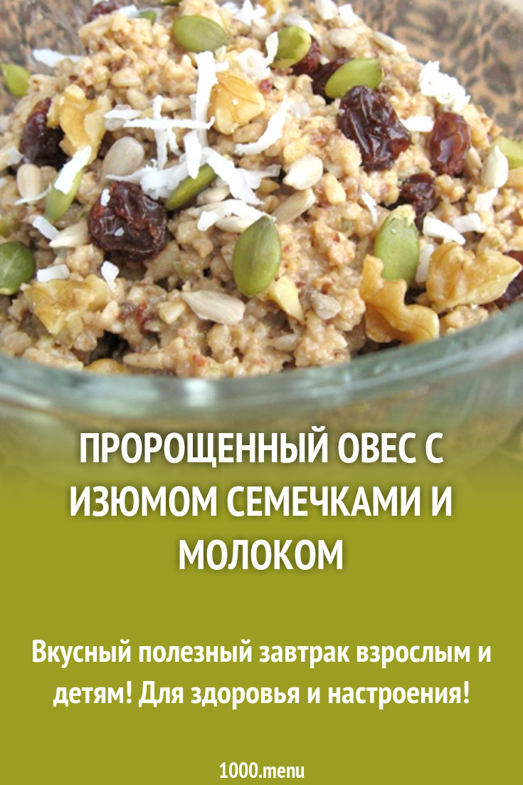 Пророщенный овес с изюмом семечками и молоком рецепт с фото - 1000.menu