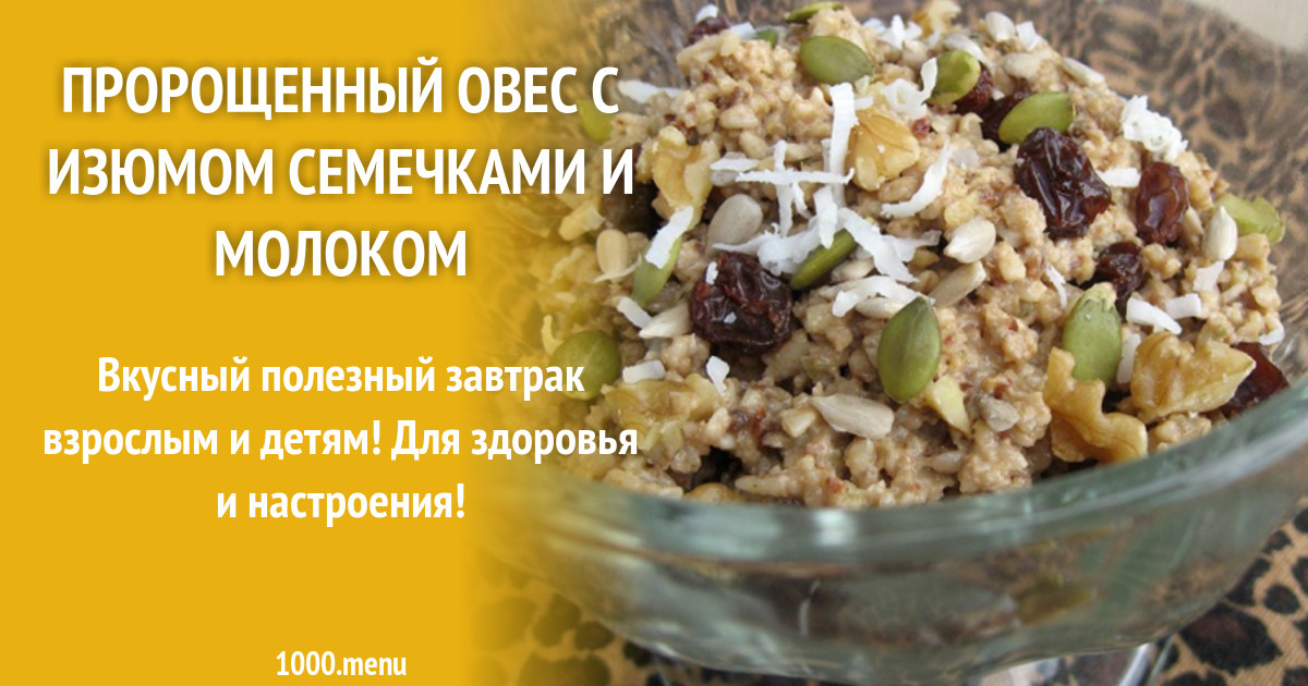 Пророщенный овес с изюмом семечками и молоком рецепт с фото - 1000.menu