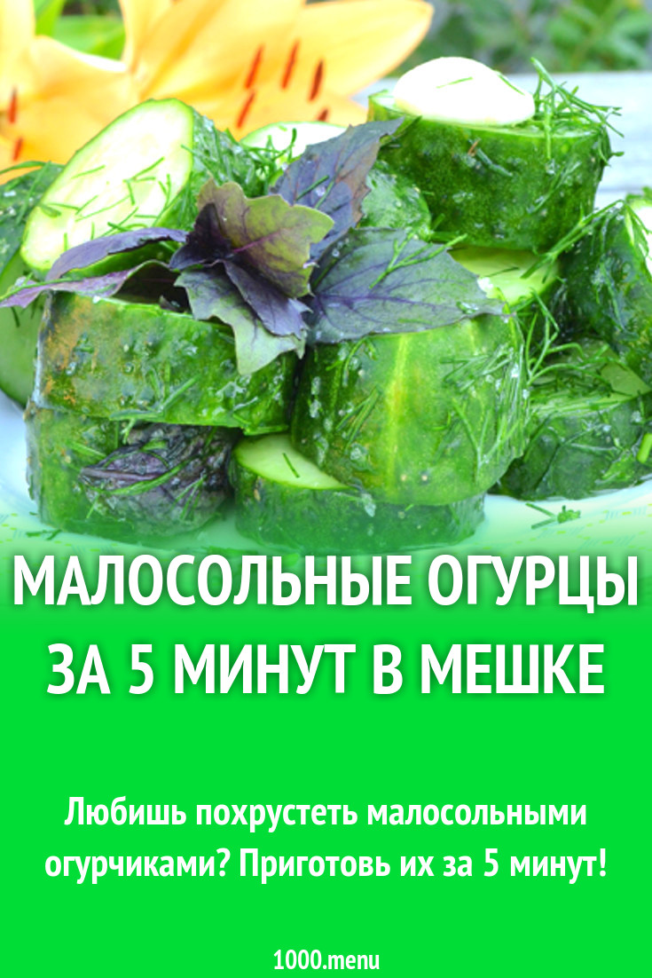 Малосольные огурцы за 5 минут в мешке рецепт с фото - 1000.menu