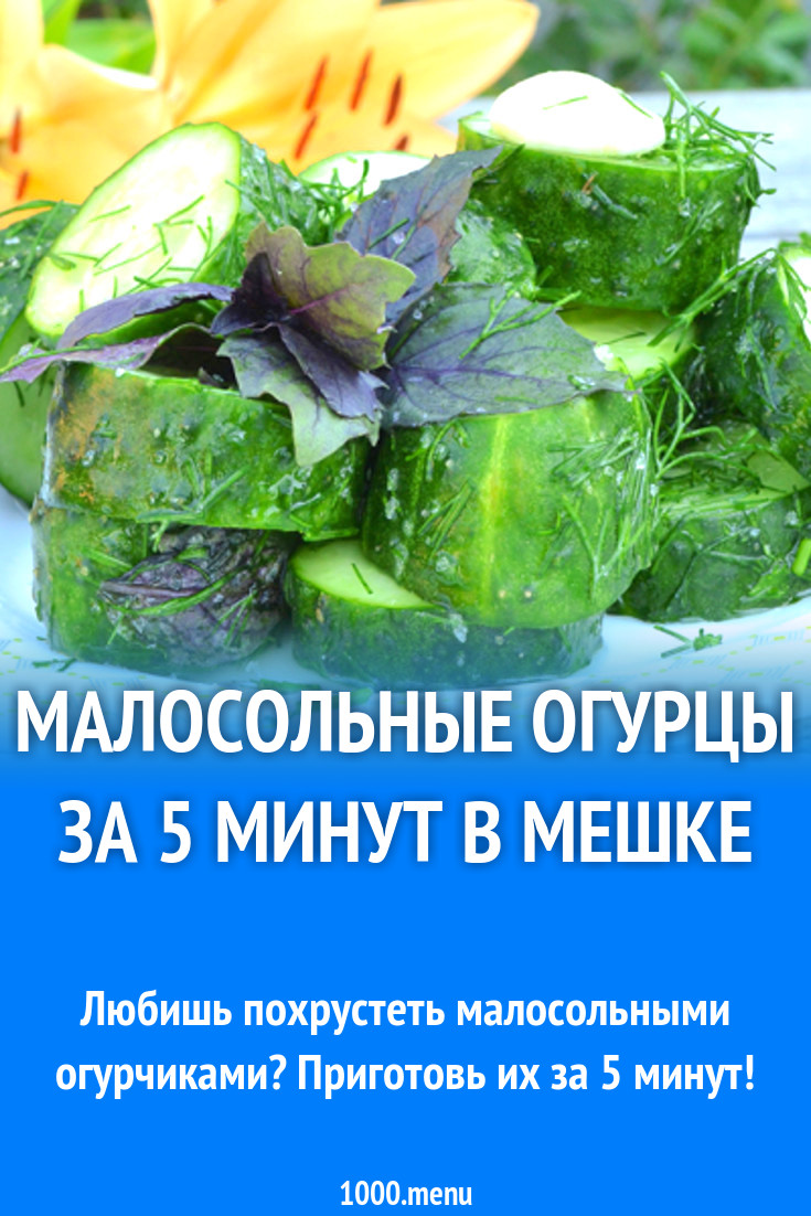 Малосольные огурцы за 5 минут в мешке рецепт с фото - 1000.menu