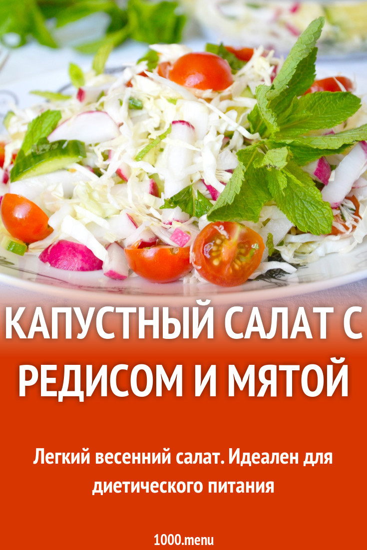 Капустный салат с редисом и мятой рецепт с фото пошагово - 1000.menu