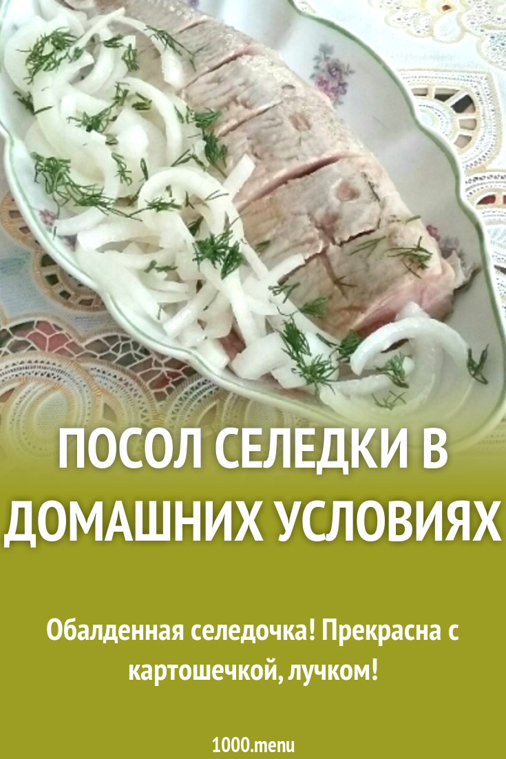 Посол селедки в домашних условиях рецепт с фото пошагово - 1000.menu