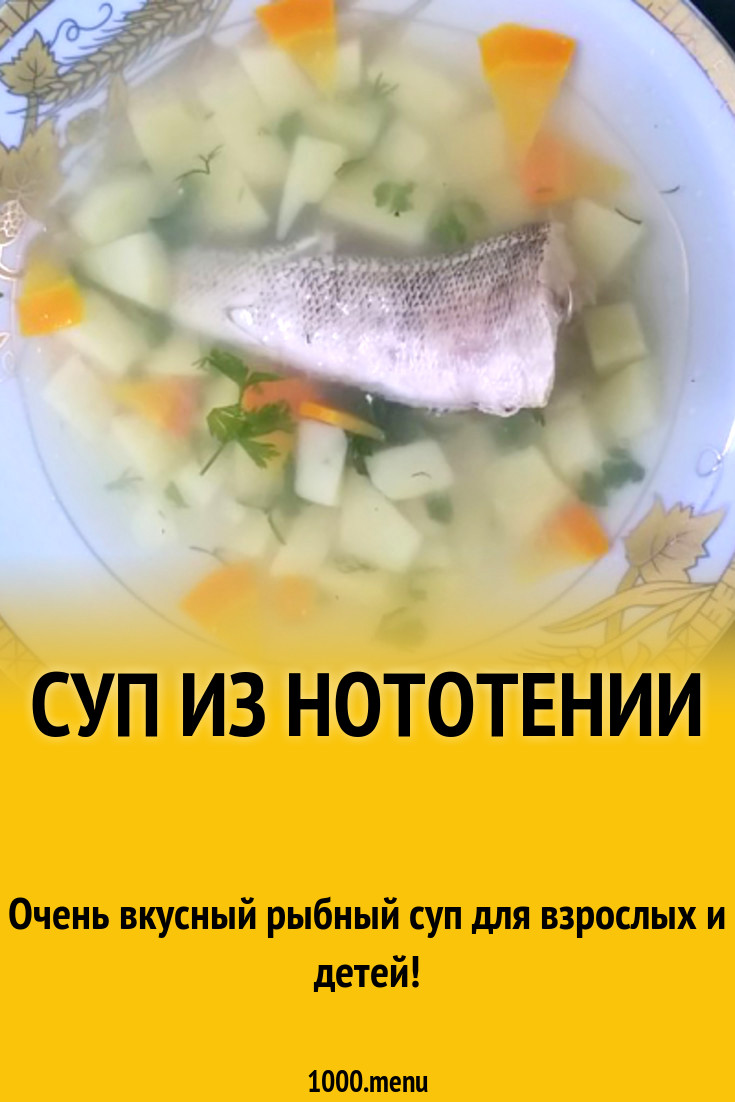 Суп из нототении рецепт с фото - 1000.menu