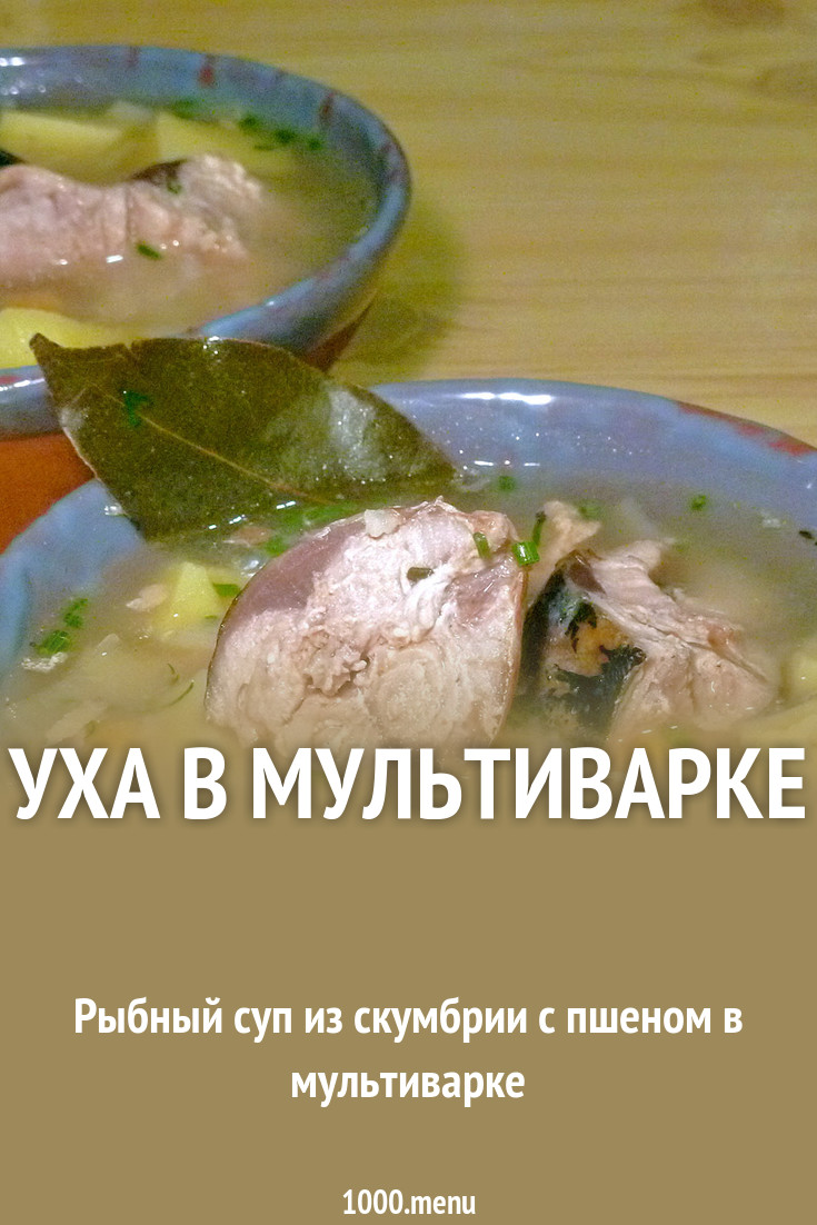 уха с щуки рецепт с фото пошагово онлайн уха с щуки рецепт с фото пошагово