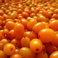 С облепихой