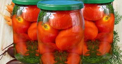 Маринованные помидоры на зиму с морковной ботвой