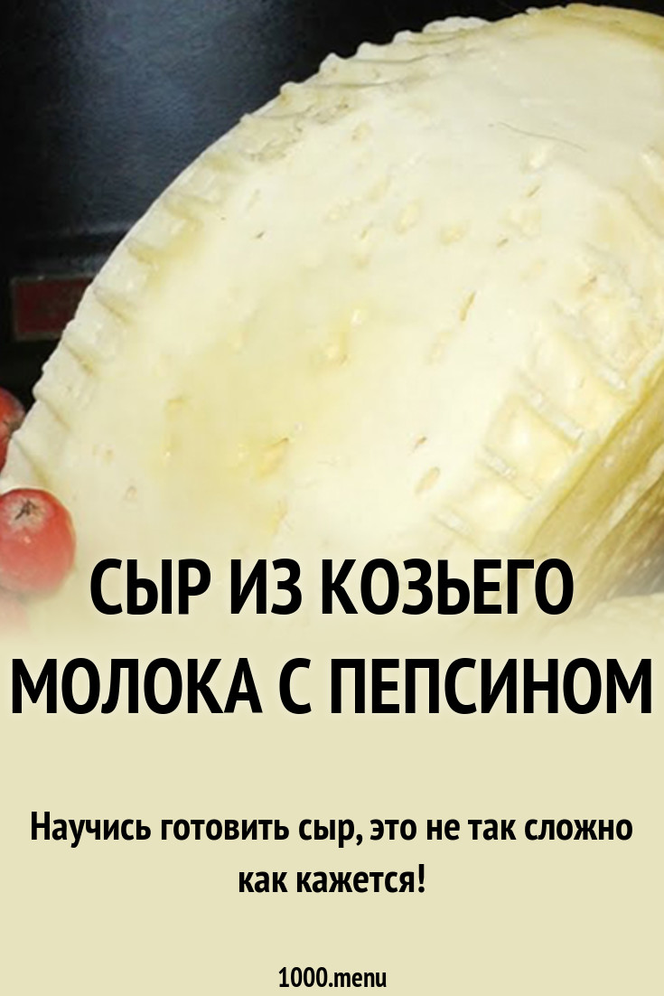 Как сделать пепсин в домашних условиях фото 684